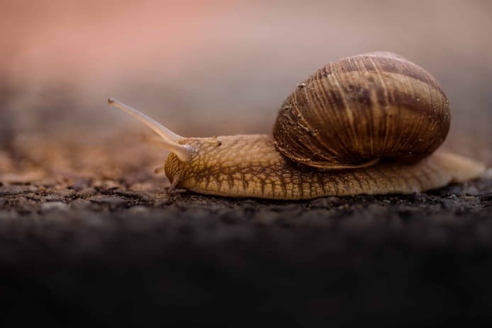 Why is My Coaching Website Too Slow? Here's How to Fix it